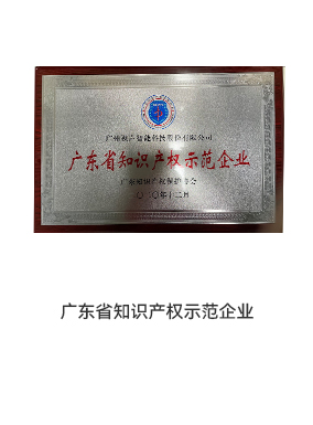 知識產(chǎn)權(quán)示范