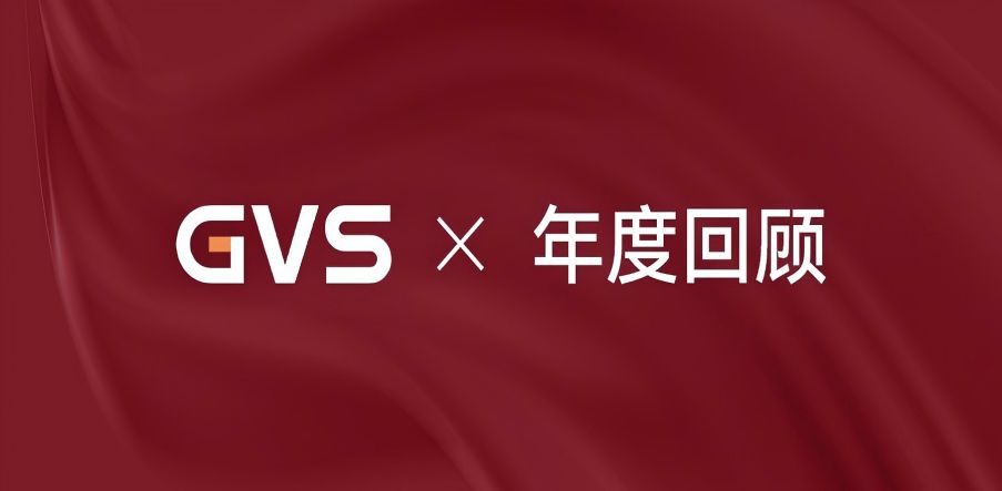 GVS 2024年終總結(jié)，請(qǐng)您查收